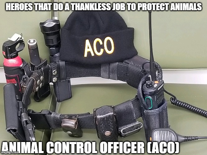 Animal Control Officer | HEROES THAT DO A THANKLESS JOB TO PROTECT ANIMALS; ANIMAL CONTROL OFFICER (ACO) | image tagged in heroes,animal rights,pets,justice,protection,lives matter | made w/ Imgflip meme maker
