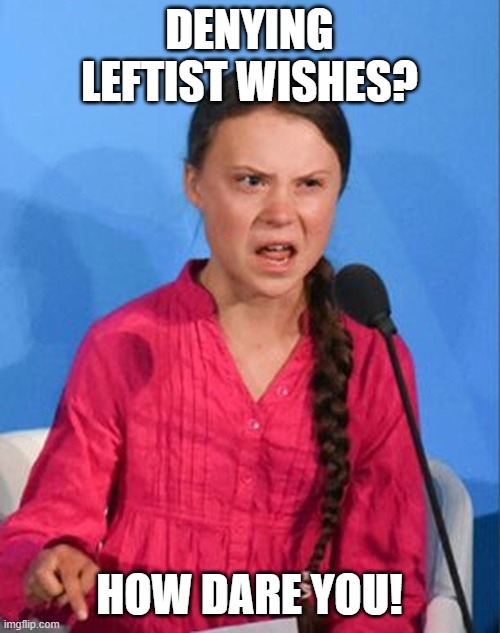 Greta Thunberg how dare you | DENYING LEFTIST WISHES? HOW DARE YOU! | image tagged in greta thunberg how dare you | made w/ Imgflip meme maker