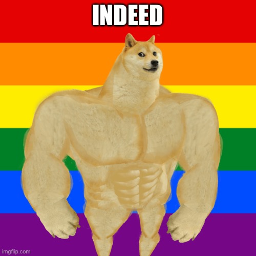 Is a homophobe planning to run in ImgFlip’s next election? | INDEED | image tagged in gay ass doge,homophobe,homophobic,homophobia,election,meanwhile on imgflip | made w/ Imgflip meme maker