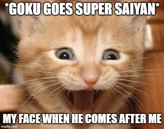 oh gosh | *GOKU GOES SUPER SAIYAN*; MY FACE WHEN HE COMES AFTER ME | image tagged in memes,excited cat | made w/ Imgflip meme maker