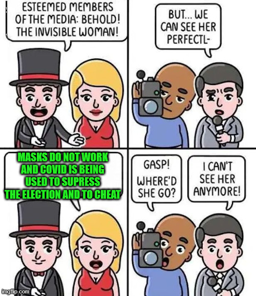 invisible woman | MASKS DO NOT WORK AND COVID IS BEING USED TO SUPRESS THE ELECTION AND TO CHEAT | image tagged in invisible woman | made w/ Imgflip meme maker