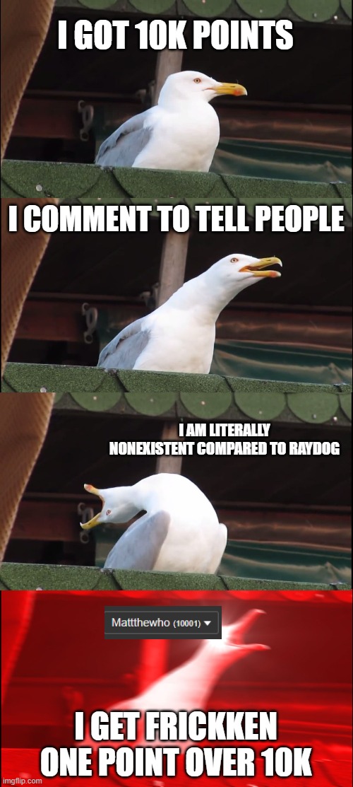 WHYYYYY | I GOT 10K POINTS; I COMMENT TO TELL PEOPLE; I AM LITERALLY NONEXISTENT COMPARED TO RAYDOG; I GET FRICKKEN ONE POINT OVER 10K | image tagged in memes,inhaling seagull | made w/ Imgflip meme maker