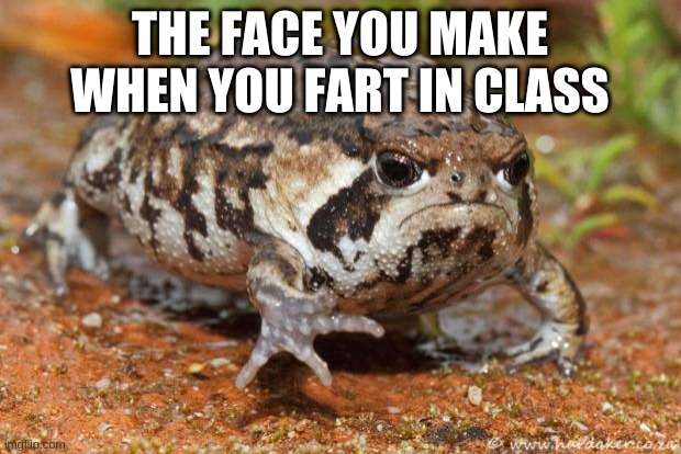 Grumpy Toad | THE FACE YOU MAKE WHEN YOU FART IN CLASS | image tagged in memes,grumpy toad | made w/ Imgflip meme maker