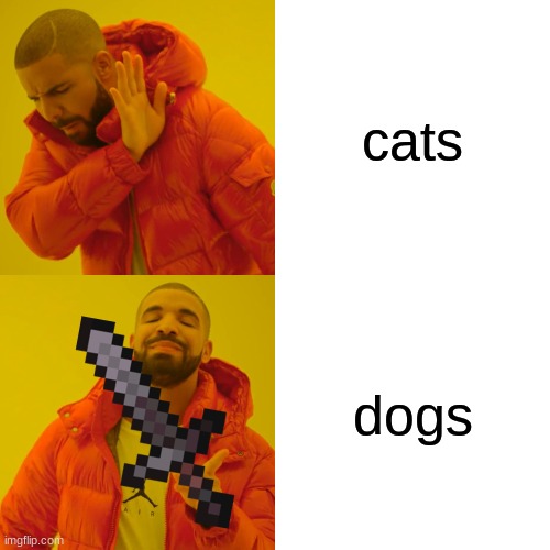 Drake Hotline Bling | cats; dogs | image tagged in memes,drake hotline bling,cats | made w/ Imgflip meme maker