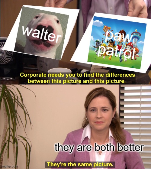 They are the same. | walter; paw patrol; they are both better | image tagged in memes,they're the same picture | made w/ Imgflip meme maker