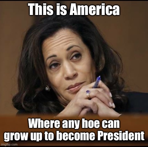 Presidential qualification #1 | This is America; Where any hoe can grow up to become President | image tagged in kamala harris,hoe,president | made w/ Imgflip meme maker