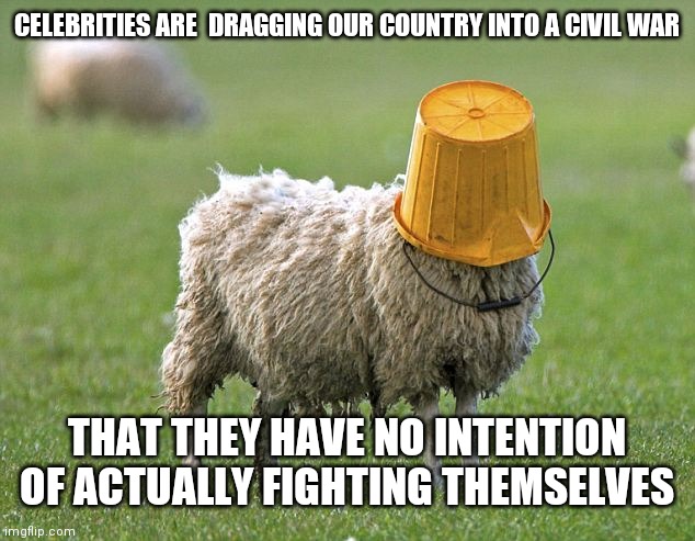 Money has no conscience so think for yourself | CELEBRITIES ARE  DRAGGING OUR COUNTRY INTO A CIVIL WAR; THAT THEY HAVE NO INTENTION OF ACTUALLY FIGHTING THEMSELVES | image tagged in stupid sheep | made w/ Imgflip meme maker