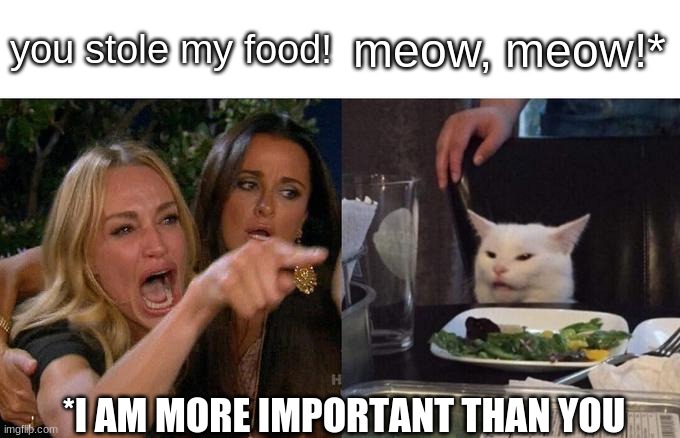 Woman Yelling At Cat Meme | you stole my food! meow, meow!*; *I AM MORE IMPORTANT THAN YOU | image tagged in memes,woman yelling at cat | made w/ Imgflip meme maker