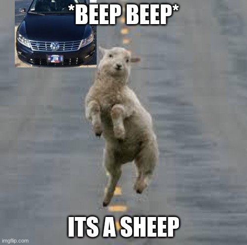literal version | *BEEP BEEP*; ITS A SHEEP | image tagged in dancing sheep | made w/ Imgflip meme maker