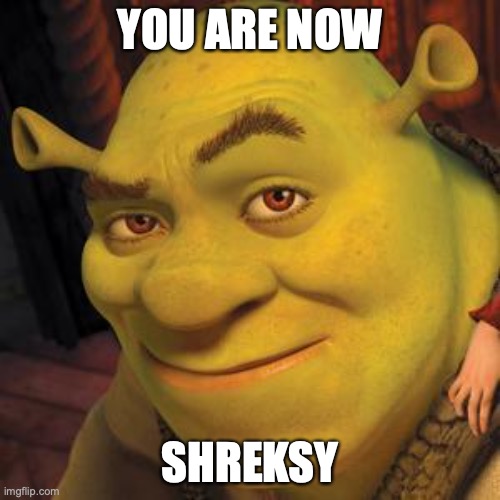 Shrek Sexy Face | YOU ARE NOW; SHREKSY | image tagged in shrek sexy face | made w/ Imgflip meme maker