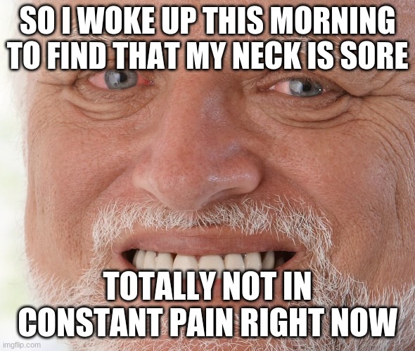 *screeching* | SO I WOKE UP THIS MORNING TO FIND THAT MY NECK IS SORE; TOTALLY NOT IN CONSTANT PAIN RIGHT NOW | image tagged in hide the pain harold | made w/ Imgflip meme maker