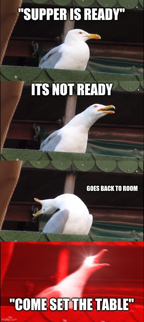 Inhaling Seagull | "SUPPER IS READY"; ITS NOT READY; GOES BACK TO ROOM; "COME SET THE TABLE" | image tagged in memes,inhaling seagull | made w/ Imgflip meme maker