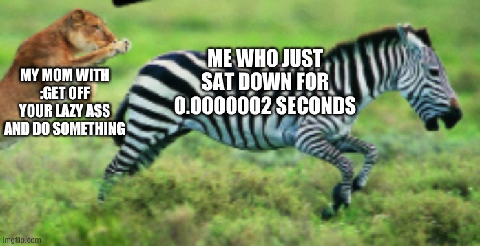 relatable? | MY MOM WITH :GET OFF YOUR LAZY ASS AND DO SOMETHING; ME WHO JUST SAT DOWN FOR 0.0000002 SECONDS | image tagged in zebra,lion,funny,mom | made w/ Imgflip meme maker