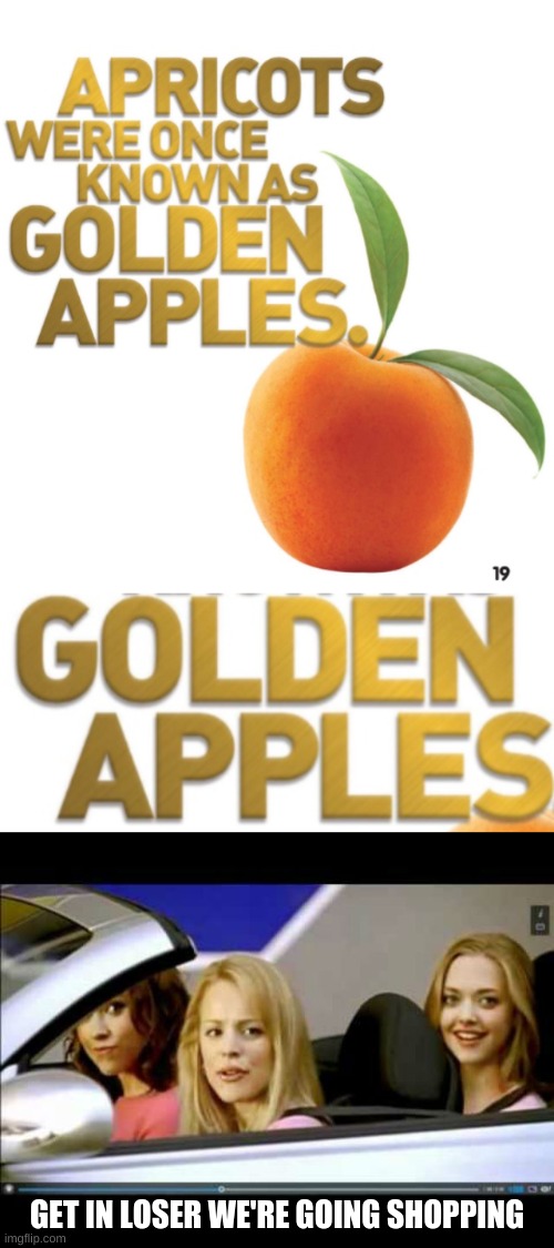 Golden apples | GET IN LOSER WE'RE GOING SHOPPING | image tagged in get in loser,gapples | made w/ Imgflip meme maker
