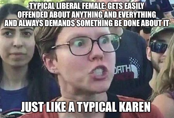 Karen is a Liberal | image tagged in triggered liberal,karen | made w/ Imgflip meme maker