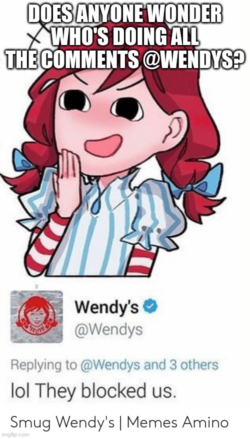 some weird teen???????????????? | DOES ANYONE WONDER WHO'S DOING ALL THE COMMENTS @WENDYS? | image tagged in lol they blocked us wendy's | made w/ Imgflip meme maker