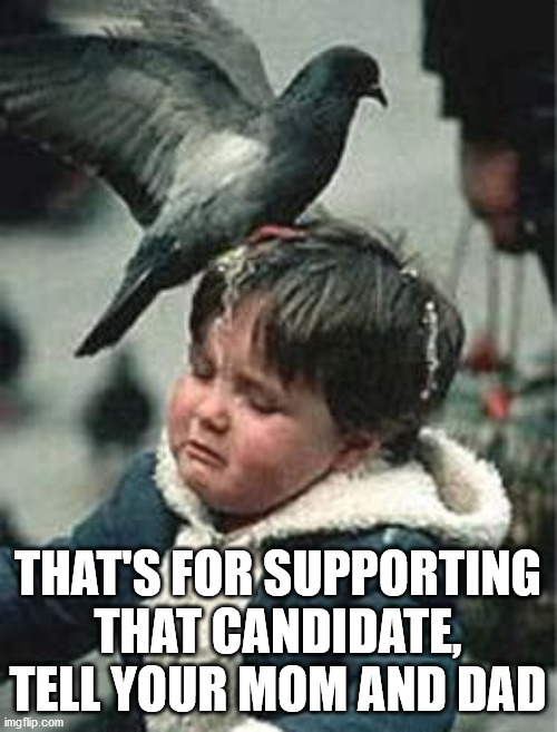 Bird Poop Blues | THAT'S FOR SUPPORTING THAT CANDIDATE, TELL YOUR MOM AND DAD | image tagged in bird poop blues | made w/ Imgflip meme maker