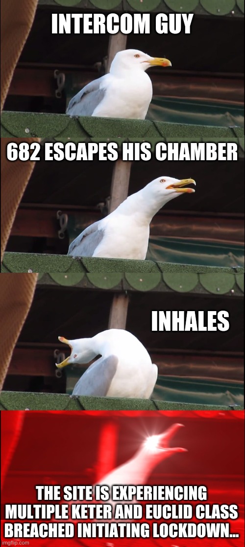 Inhaling Seagull Meme | INTERCOM GUY; 682 ESCAPES HIS CHAMBER; INHALES; THE SITE IS EXPERIENCING MULTIPLE KETER AND EUCLID CLASS BREACHED INITIATING LOCKDOWN... | image tagged in memes,inhaling seagull | made w/ Imgflip meme maker