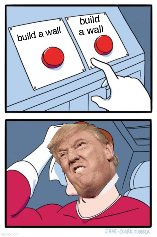 Two Buttons | build a wall; build a wall | image tagged in memes,two buttons | made w/ Imgflip meme maker