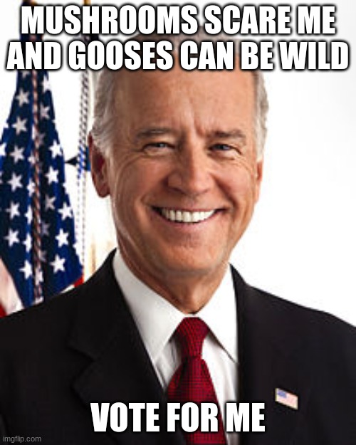 joe biden summed up | MUSHROOMS SCARE ME AND GOOSES CAN BE WILD; VOTE FOR ME | image tagged in memes,joe biden | made w/ Imgflip meme maker