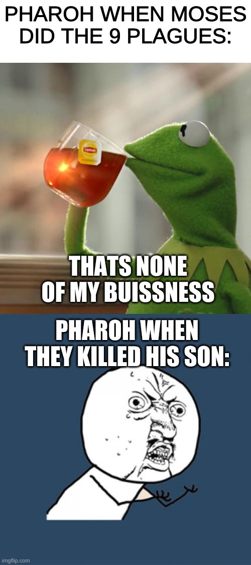 the 10 plagues | PHAROH WHEN MOSES DID THE 9 PLAGUES:; THATS NONE OF MY BUISSNESS; PHAROH WHEN THEY KILLED HIS SON: | image tagged in memes,y u no,but that's none of my business | made w/ Imgflip meme maker