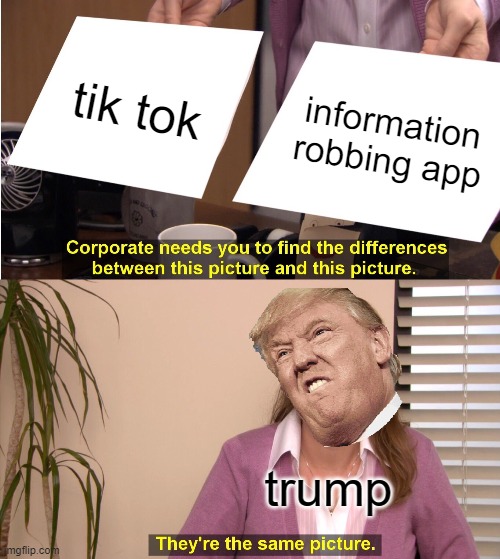 They're The Same Picture | tik tok; information robbing app; trump | image tagged in memes,they're the same picture | made w/ Imgflip meme maker
