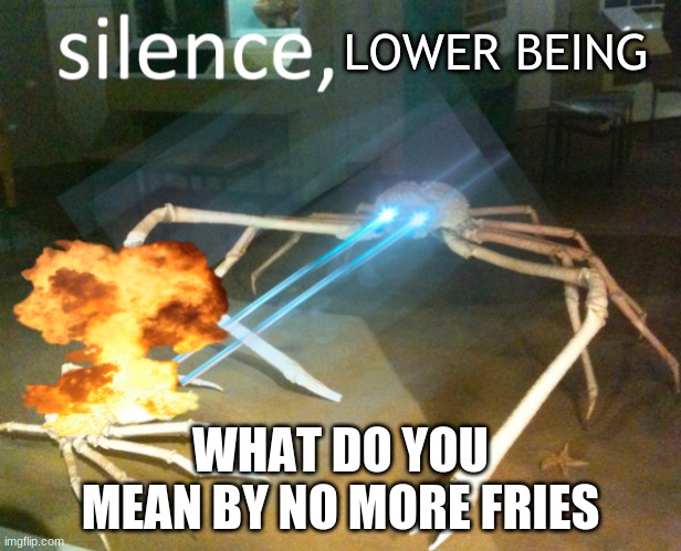 Silence Crab | LOWER BEING; WHAT DO YOU MEAN BY NO MORE FRIES | image tagged in silence crab | made w/ Imgflip meme maker