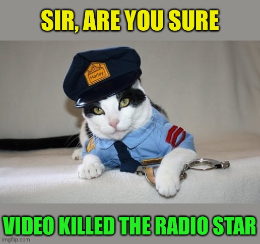 Put the blame on V.C.R | SIR, ARE YOU SURE; VIDEO KILLED THE RADIO STAR | image tagged in police cat,buggles,80s music,run out of submissions in fun | made w/ Imgflip meme maker