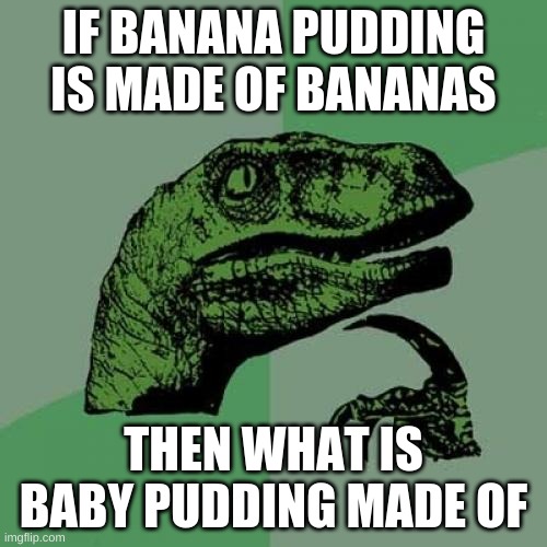 Philosoraptor Meme | IF BANANA PUDDING IS MADE OF BANANAS; THEN WHAT IS BABY PUDDING MADE OF | image tagged in memes,philosoraptor | made w/ Imgflip meme maker