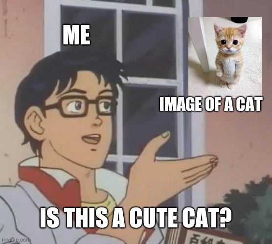 Is This A Pigeon Meme | ME; IMAGE OF A CAT; IS THIS A CUTE CAT? | image tagged in memes,is this a pigeon | made w/ Imgflip meme maker