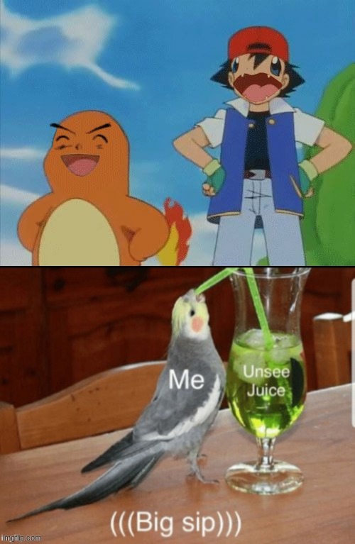 avert your eyes | image tagged in face swap,pokemon,funny,unsee juice | made w/ Imgflip meme maker