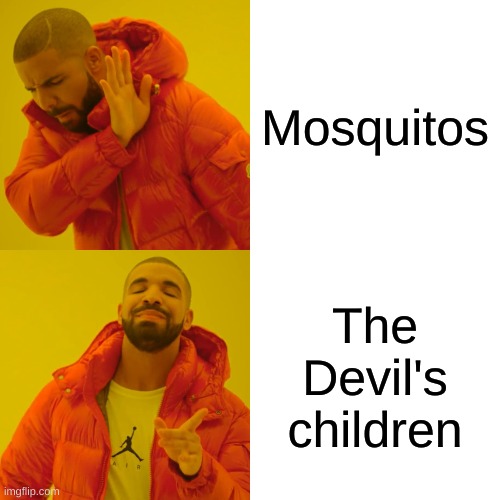 I HATE MOSQUIOES ARE YOU WITH ME | Mosquitos; The Devil's children | image tagged in memes,drake hotline bling,mosquitoes,devils children,devil,bugs | made w/ Imgflip meme maker