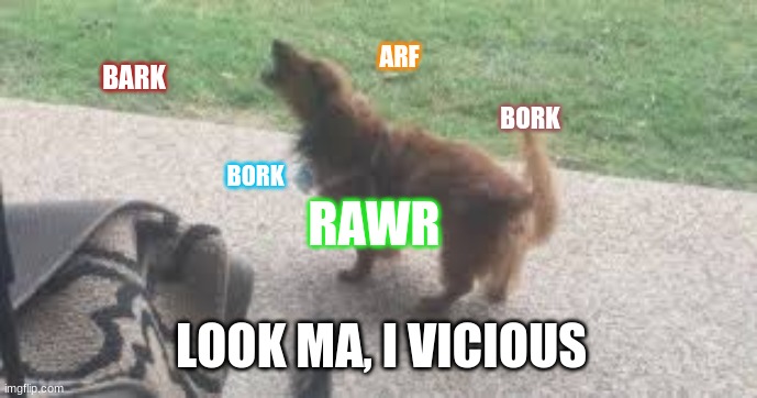 I vicious animal! Wild and untamed! | ARF; BARK; BORK; BORK; RAWR; LOOK MA, I VICIOUS | image tagged in dog,barking,meme | made w/ Imgflip meme maker