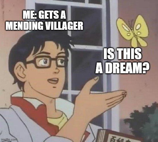 hopefully not. | ME: GETS A MENDING VILLAGER; IS THIS A DREAM? | image tagged in memes,dream | made w/ Imgflip meme maker