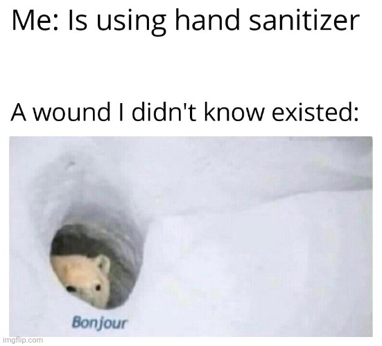 bonjour wound | image tagged in gotanypain | made w/ Imgflip meme maker