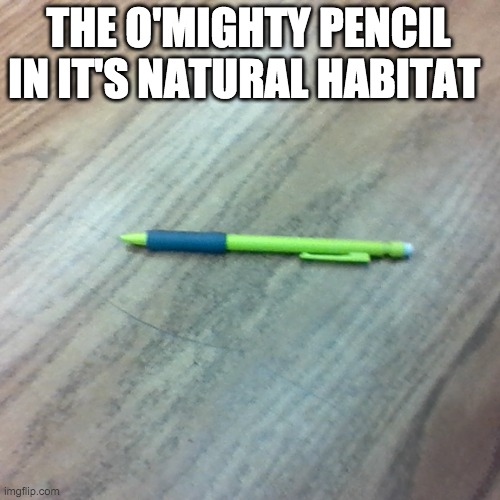 Lonely pencil | THE O'MIGHTY PENCIL IN IT'S NATURAL HABITAT | image tagged in lonely pencil | made w/ Imgflip meme maker