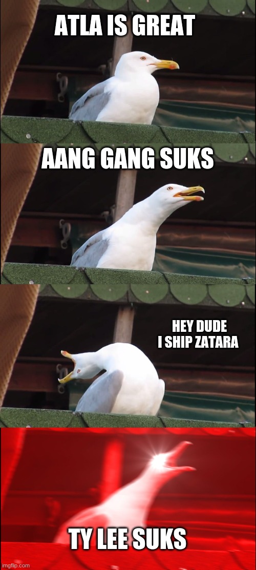 My reactions | ATLA IS GREAT; AANG GANG SUKS; HEY DUDE I SHIP ZATARA; TY LEE SUKS | image tagged in memes,inhaling seagull | made w/ Imgflip meme maker