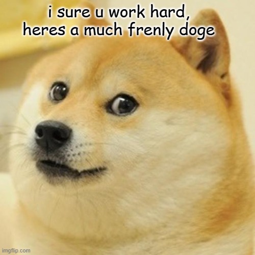 Doge | i sure u work hard, heres a much frenly doge | image tagged in memes,doge | made w/ Imgflip meme maker