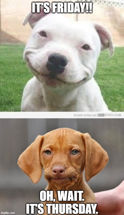 IT'S FRIDAY!! OH, WAIT. IT'S THURSDAY. | image tagged in happy friday puppy,disappointed puppy | made w/ Imgflip meme maker