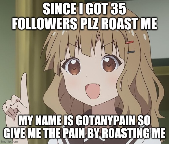 roast me | SINCE I GOT 35 FOLLOWERS PLZ ROAST ME; MY NAME IS GOTANYPAIN SO GIVE ME THE PAIN BY ROASTING ME | image tagged in the person above me,gotanypain | made w/ Imgflip meme maker