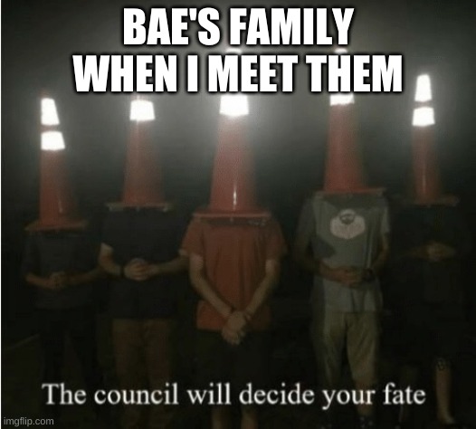 The council will decide your fate | BAE'S FAMILY WHEN I MEET THEM | image tagged in the council will decide your fate | made w/ Imgflip meme maker