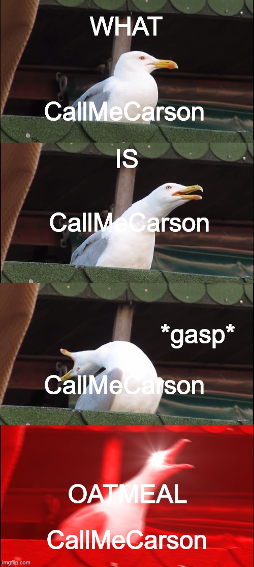 oatmeal | WHAT; CallMeCarson; IS; CallMeCarson; CallMeCarson; *gasp*; OATMEAL; CallMeCarson | image tagged in memes,inhaling seagull | made w/ Imgflip meme maker