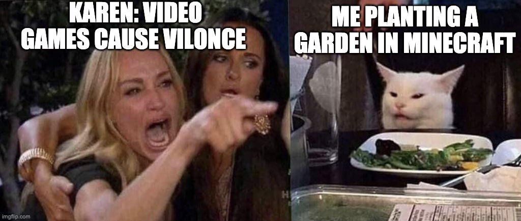 rly | KAREN: VIDEO GAMES CAUSE VILONCE; ME PLANTING A GARDEN IN MINECRAFT | image tagged in woman yelling at cat | made w/ Imgflip meme maker