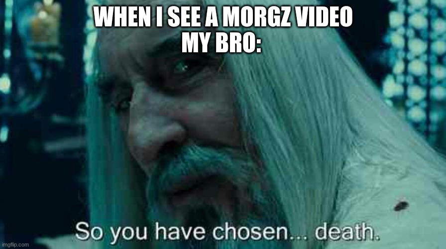 So you have chosen death | WHEN I SEE A MORGZ VIDEO
MY BRO: | image tagged in so you have chosen death | made w/ Imgflip meme maker