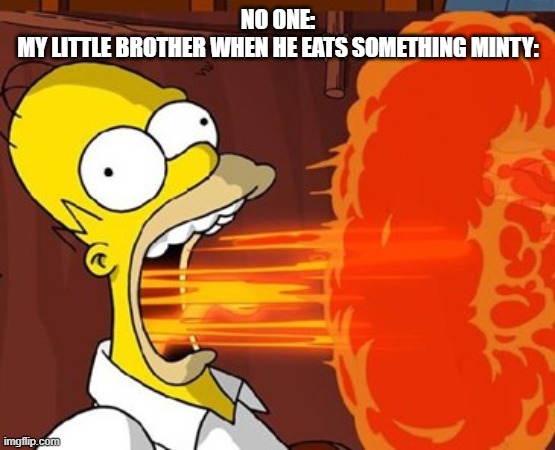 Its literally not spicy | NO ONE:
MY LITTLE BROTHER WHEN HE EATS SOMETHING MINTY: | image tagged in mouth on fire | made w/ Imgflip meme maker