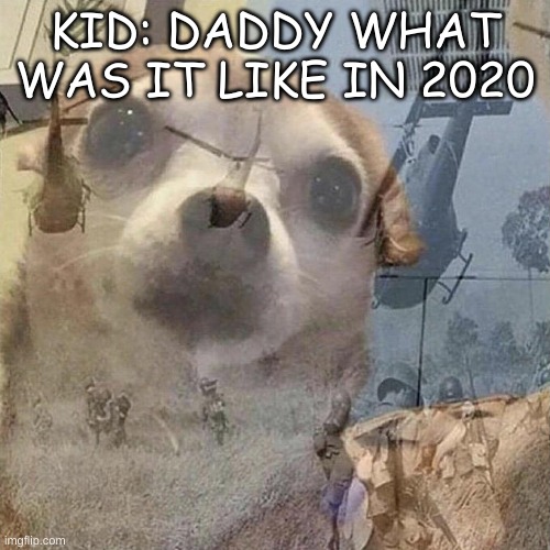 am i right | KID: DADDY WHAT WAS IT LIKE IN 2020 | image tagged in 2020 sucks,gonna tell my kids | made w/ Imgflip meme maker
