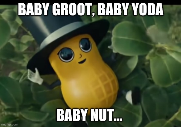 Baby nut | BABY GROOT, BABY YODA; BABY NUT... | image tagged in baby | made w/ Imgflip meme maker