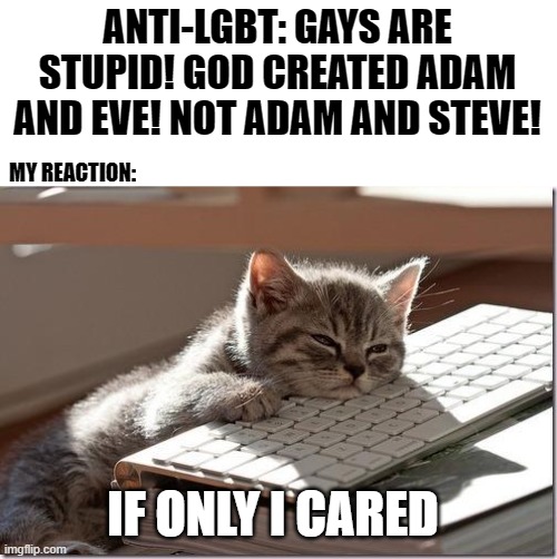 At this point, It's just getting boring. | ANTI-LGBT: GAYS ARE STUPID! GOD CREATED ADAM AND EVE! NOT ADAM AND STEVE! MY REACTION:; IF ONLY I CARED | image tagged in bored keyboard cat,lgbt,lgbtq,homophobic,bored | made w/ Imgflip meme maker