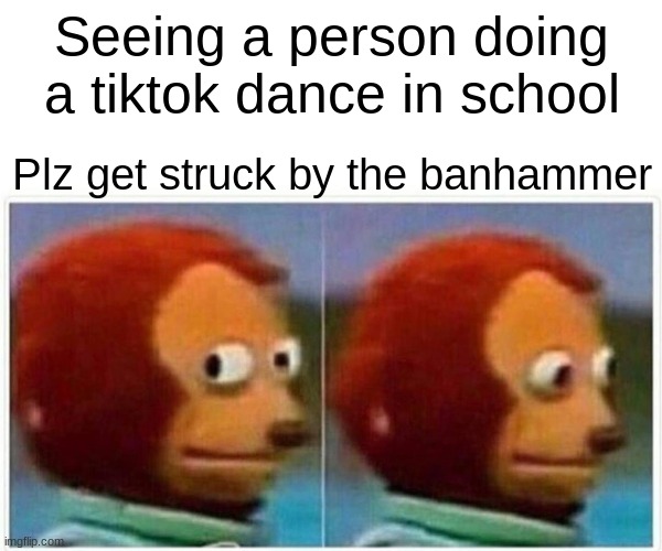 BAN TIKTOK | Seeing a person doing a tiktok dance in school; Plz get struck by the banhammer | image tagged in memes,monkey puppet | made w/ Imgflip meme maker