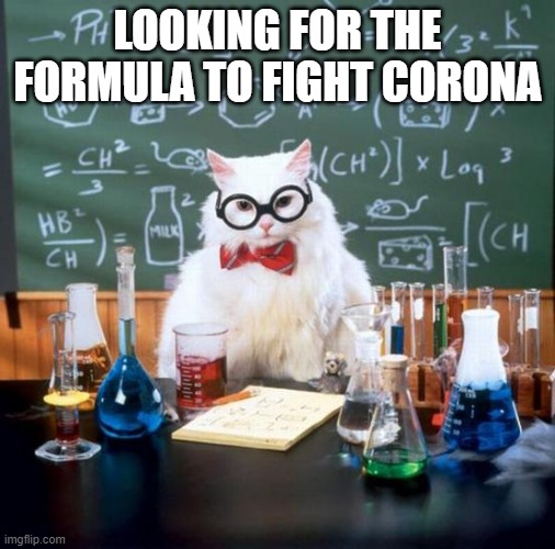 Fight Corona | LOOKING FOR THE FORMULA TO FIGHT CORONA | image tagged in memes,chemistry cat | made w/ Imgflip meme maker